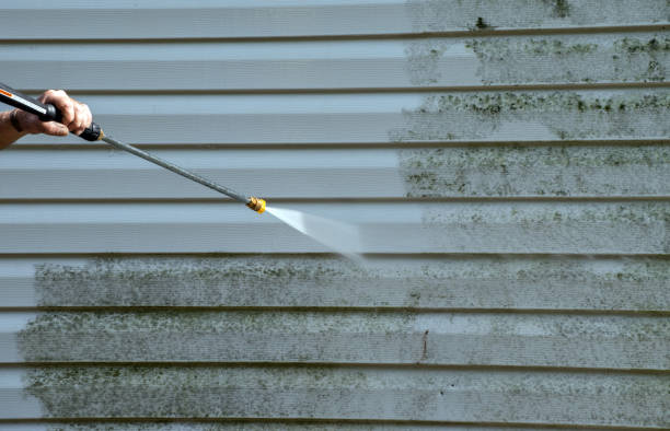 Best Driveway Pressure Washing  in Devola, OH